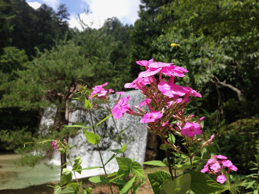 Takimi Onsen Inn That Only Accepts One Group Per Day Nagiso Bagian luar foto